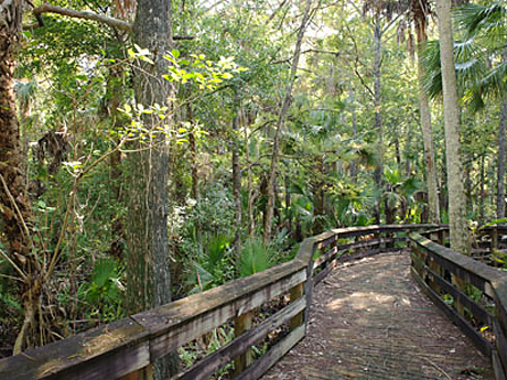 Indiantown; Barley Barber Swamp