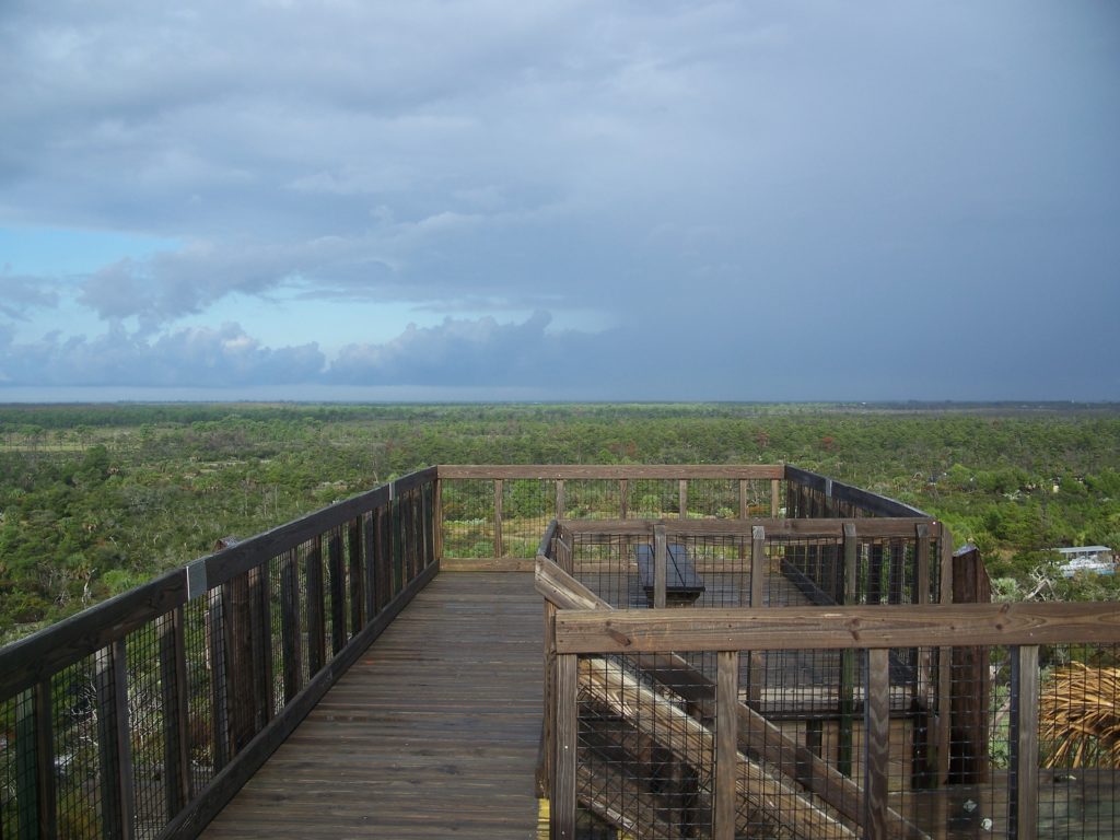 Jonathan Dickinson State Park Teeming With Wildlife And Perfect