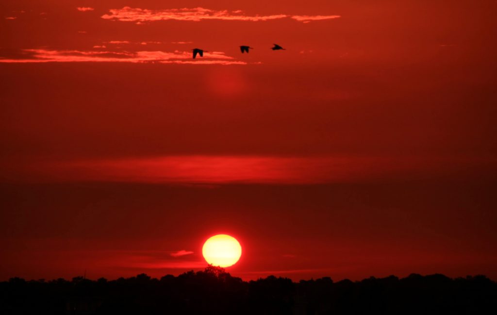 red sky with a low sun