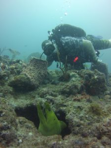 snorkeling martin county florida Deep Six Dive and Watersports