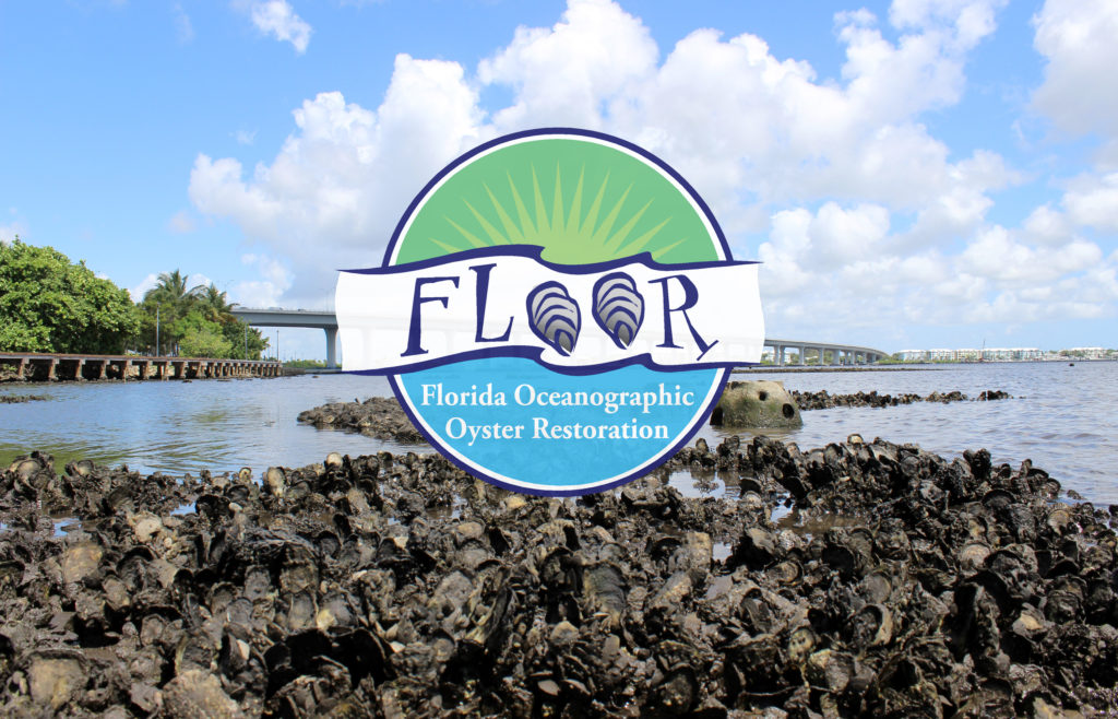 FLOOR (Florida Oceanographic Oyster Restoration) program