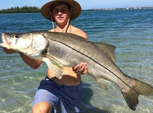 Snook at Boy Scout Island. Stuart, FL : r/Fishing