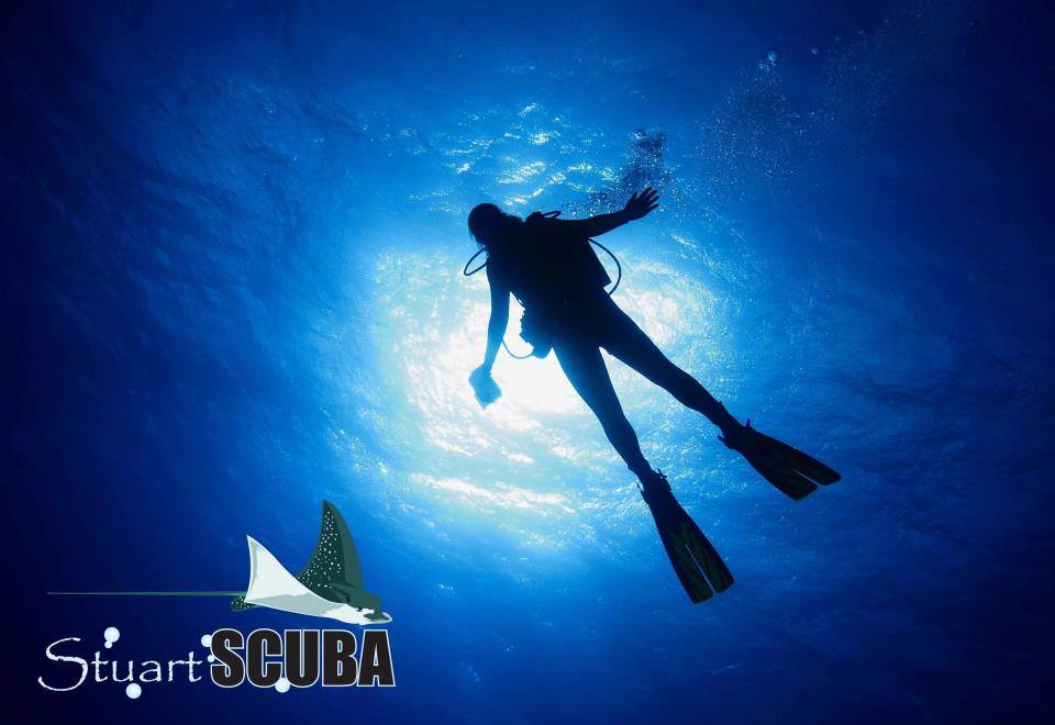 Stuart Scuba Learn Dive Martin County