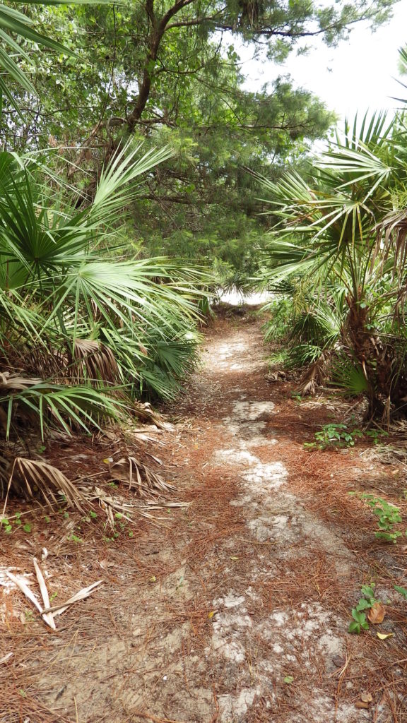 Hobe Sound Nature Center Image