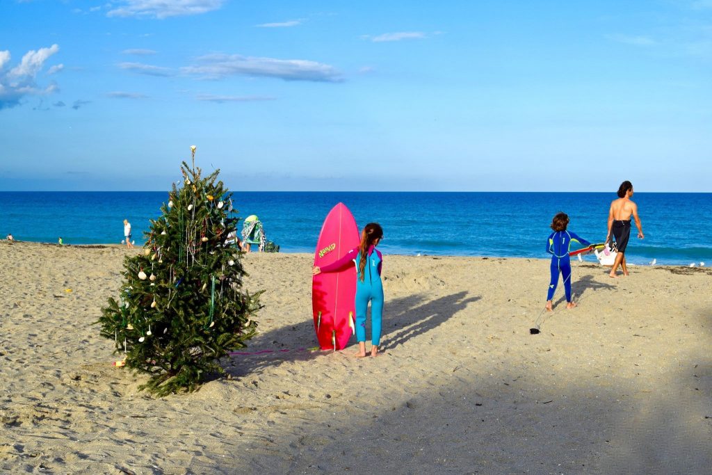 Christmas Tree on the Beach