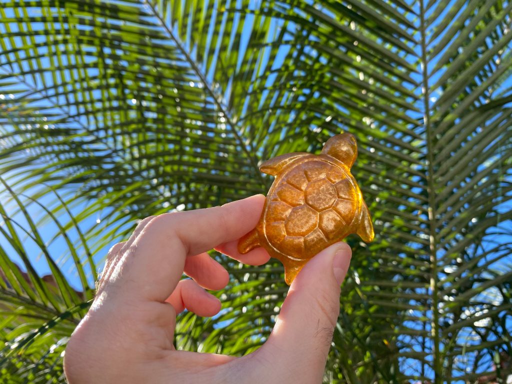 Gold Sea Turtle Martin County Scavenger Hunt
