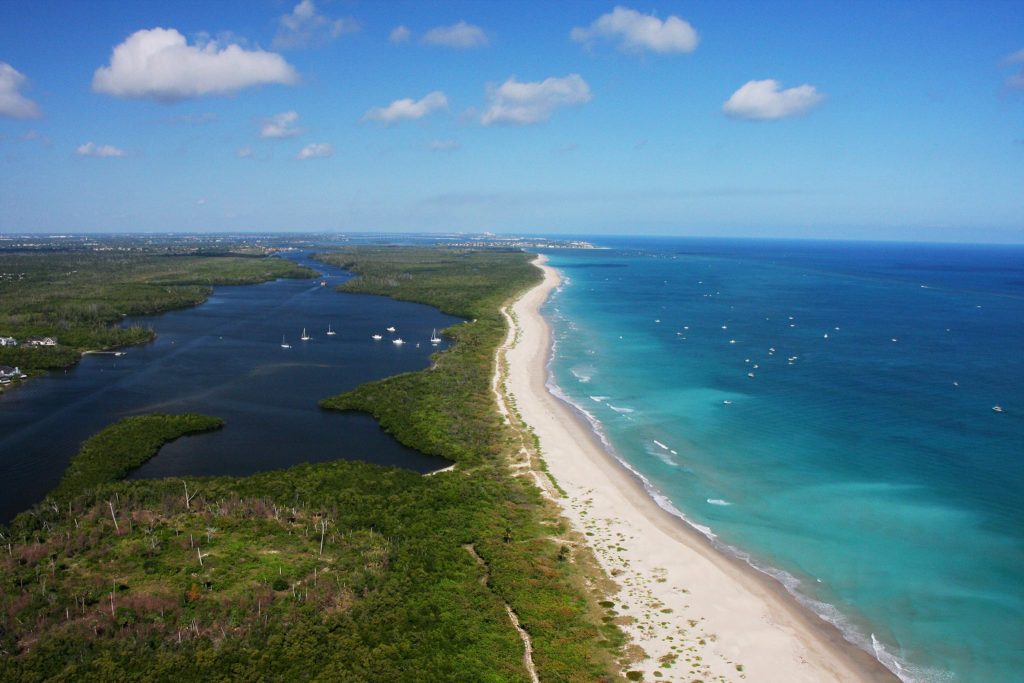 Stay Cool in the Florida Summer Heat