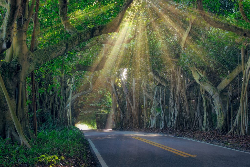 Old St Lucie Blvd Road in Stuart Port