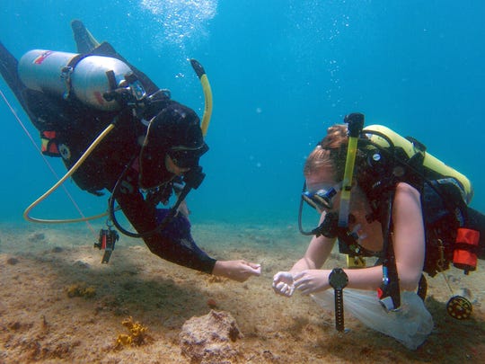 two people scuba diving