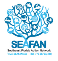 Seafan graphic