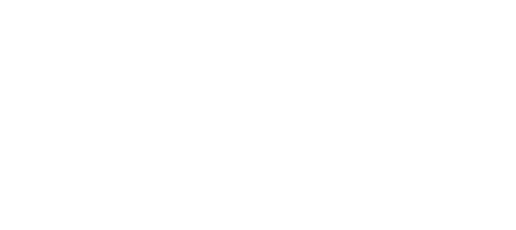 Leave No Trace Image