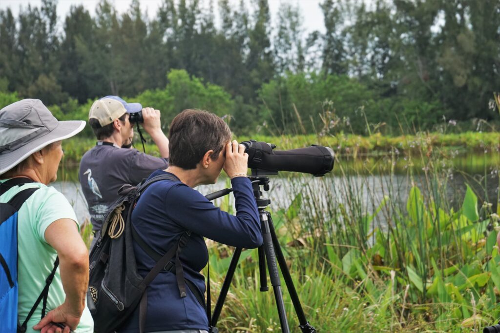 Great Florida Wildlife and Birding Trail