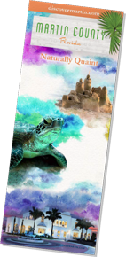 Travel Guide Brochure