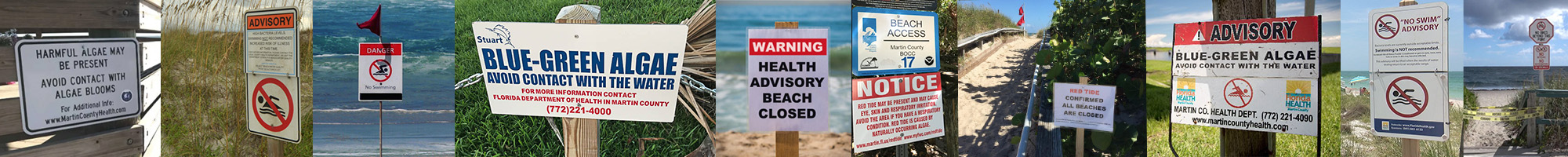 Look for these signs when visiting our beaches to know if it safe to swim.