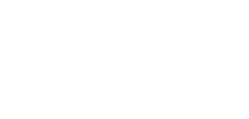 Martin County Florida Mlogo