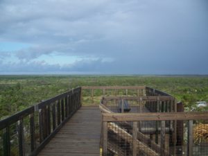 Hobe Sound Jonathan Dickinson State Park
