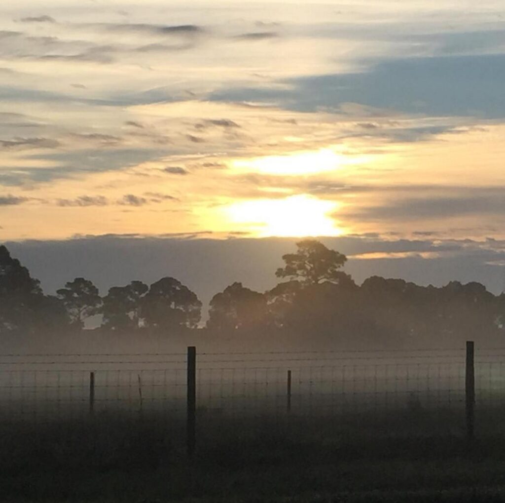 photo-credit-discovermartin-via-instagram