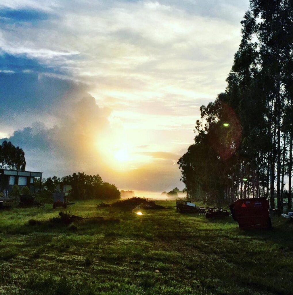 photo-credit-kaikaifarm-via-instagram