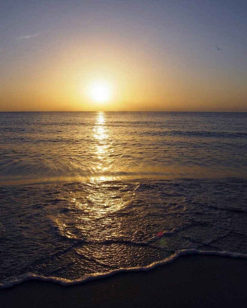 photo-credit-tammyleebradley-via-instagram