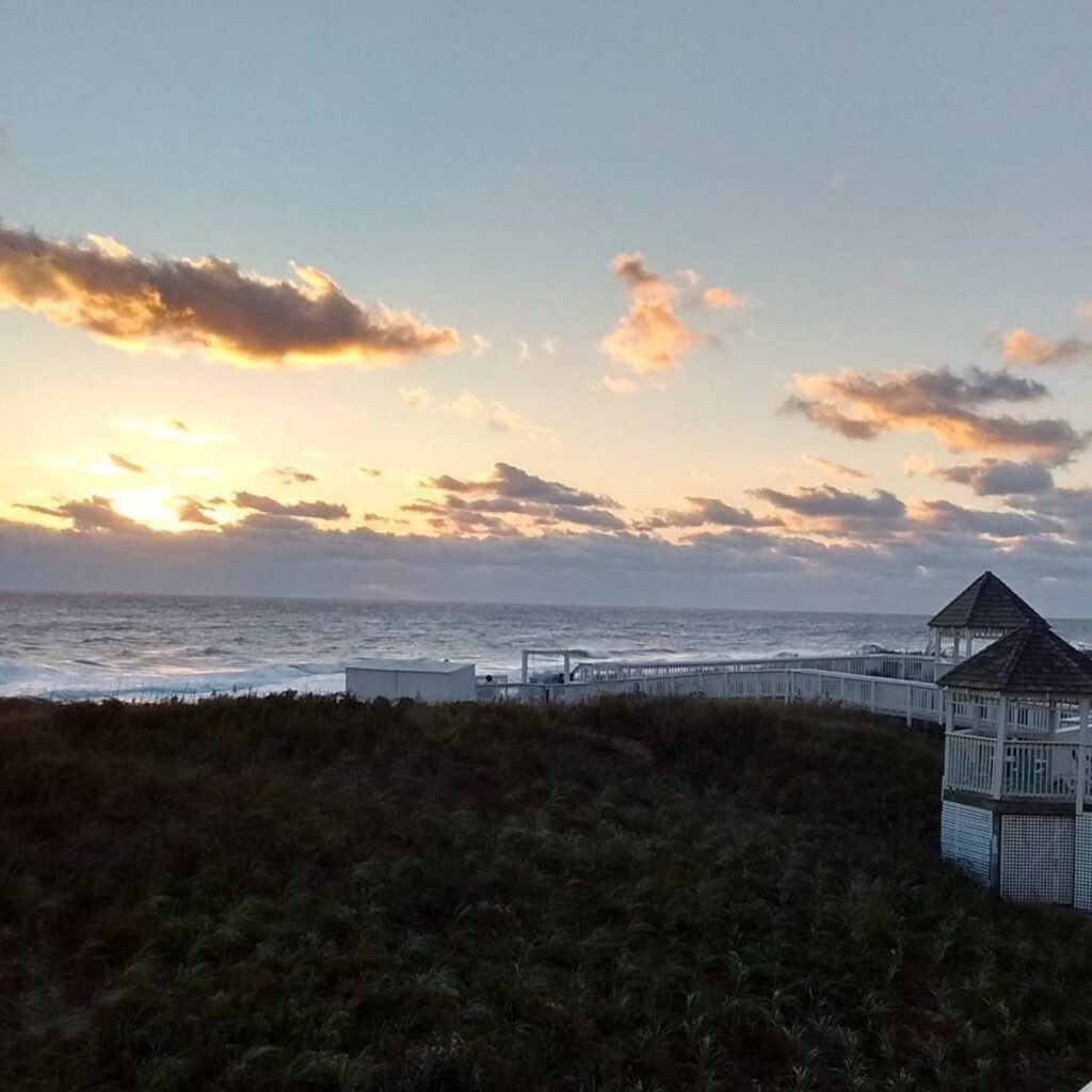 photo-credit-thedaisyhead-via-instagram