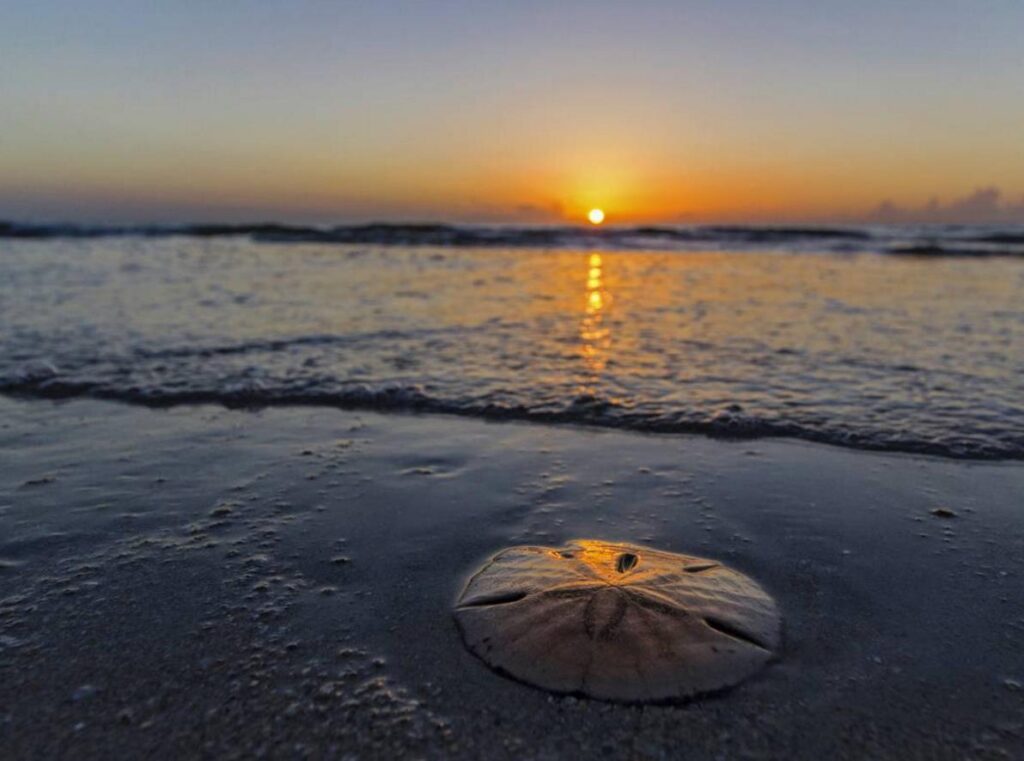 photo-credit-wizsnap-via-instagram