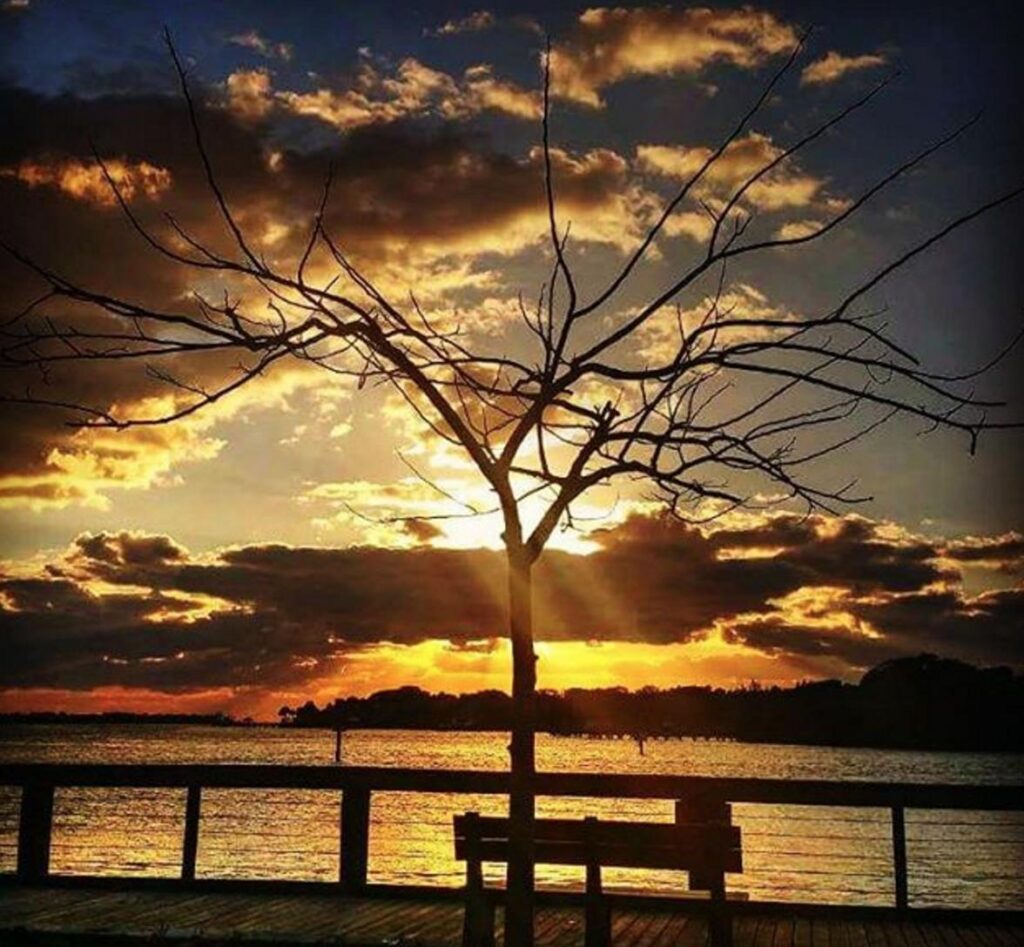 photo-credit-zekessurfanfpaddle-via-instagram