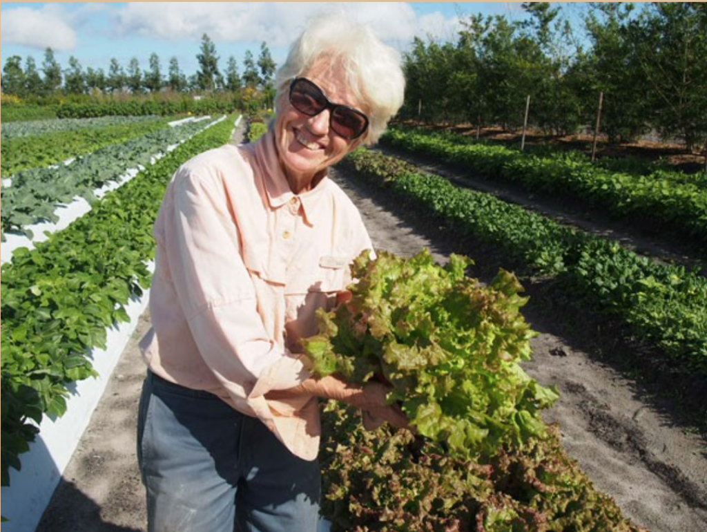 woman holding lettuce on a farm