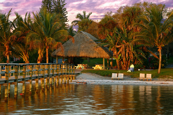 Special Offers Image