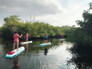 standup paddleboarding martin county manatee pocket