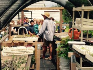 Ground Floor Farm Stuart Florida