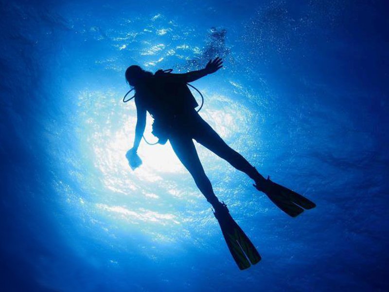 Explore underwater treasures with Stuart Scuba.