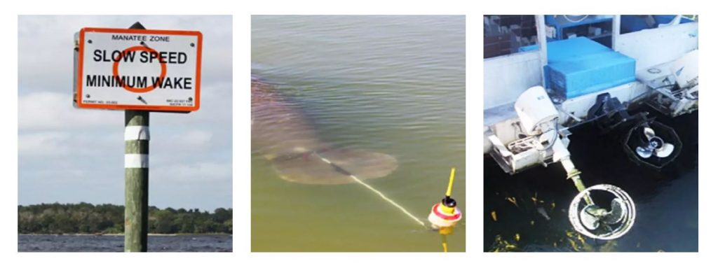 Images Courtesy Florida Fish and Wildlife Conservation Commission