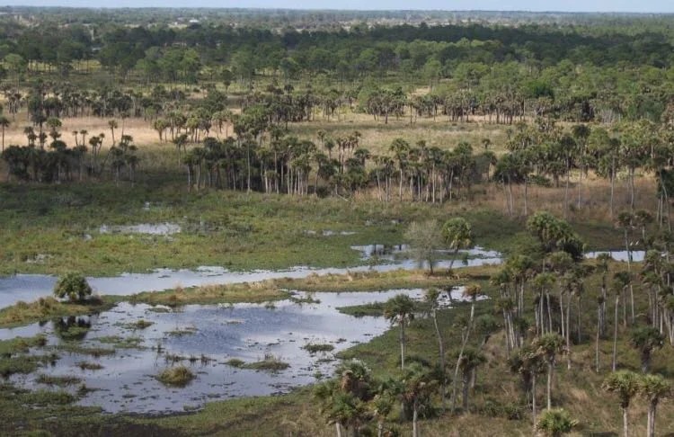 Fox Brown Outfitters  Image