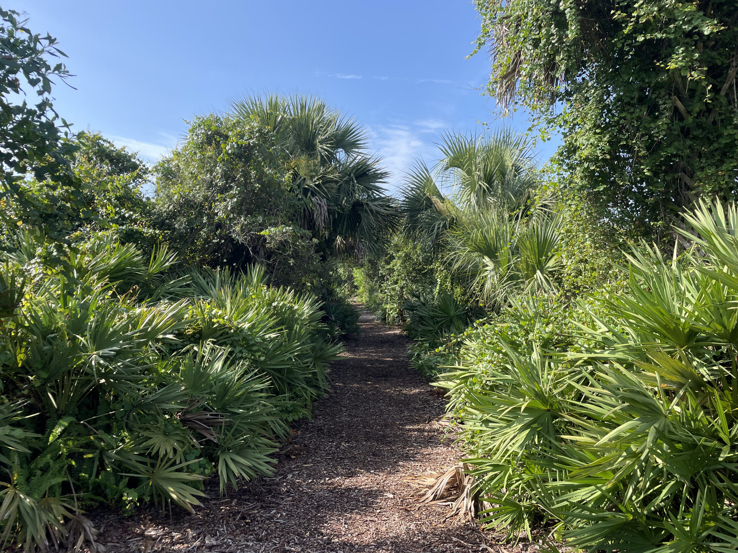 Rio Nature Park  Image