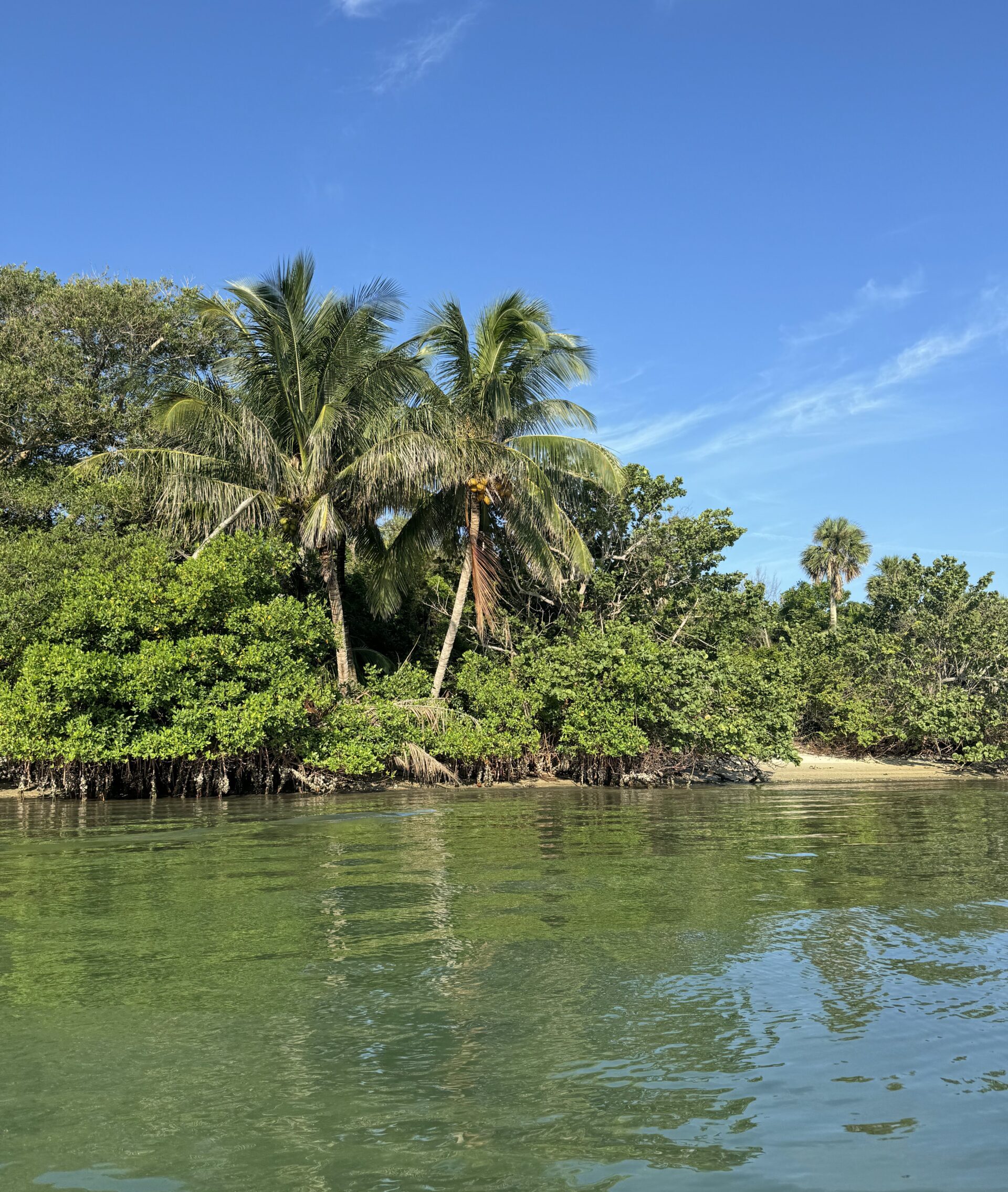 Indian River Lagoon Image