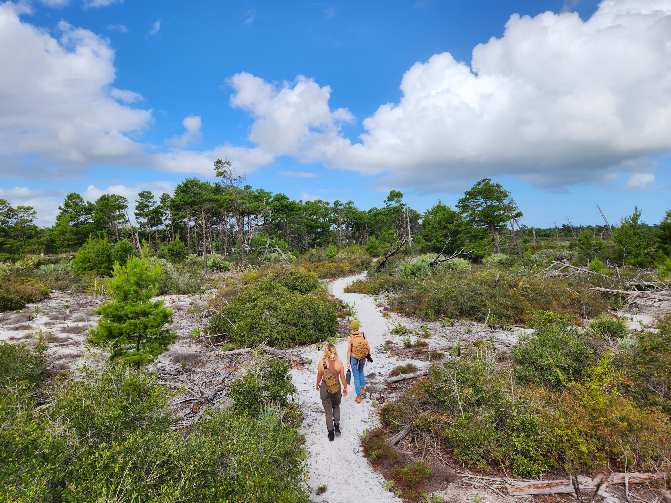 Seabranch Preserve State Park Image