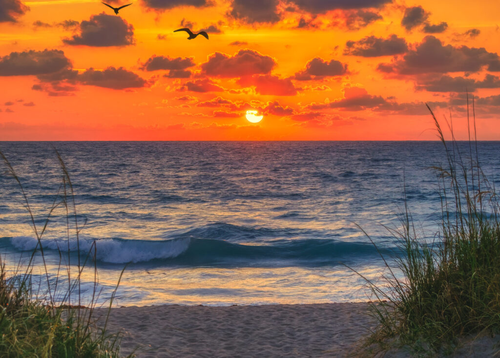 beach at sunset