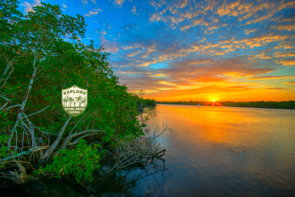 the sunset over the river