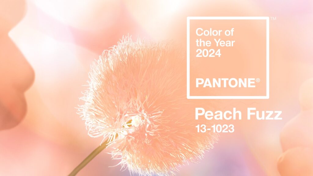 Color sample of Peach Fuzz, Pantone's Color of the Year 2024