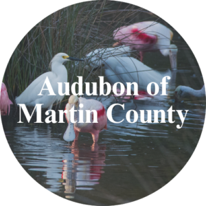 audubon of martin county