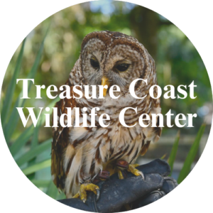 treasure coast wildlife center
