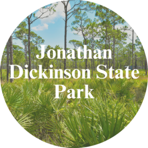jonathan dickinson state park