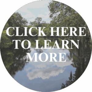 click here to learn more