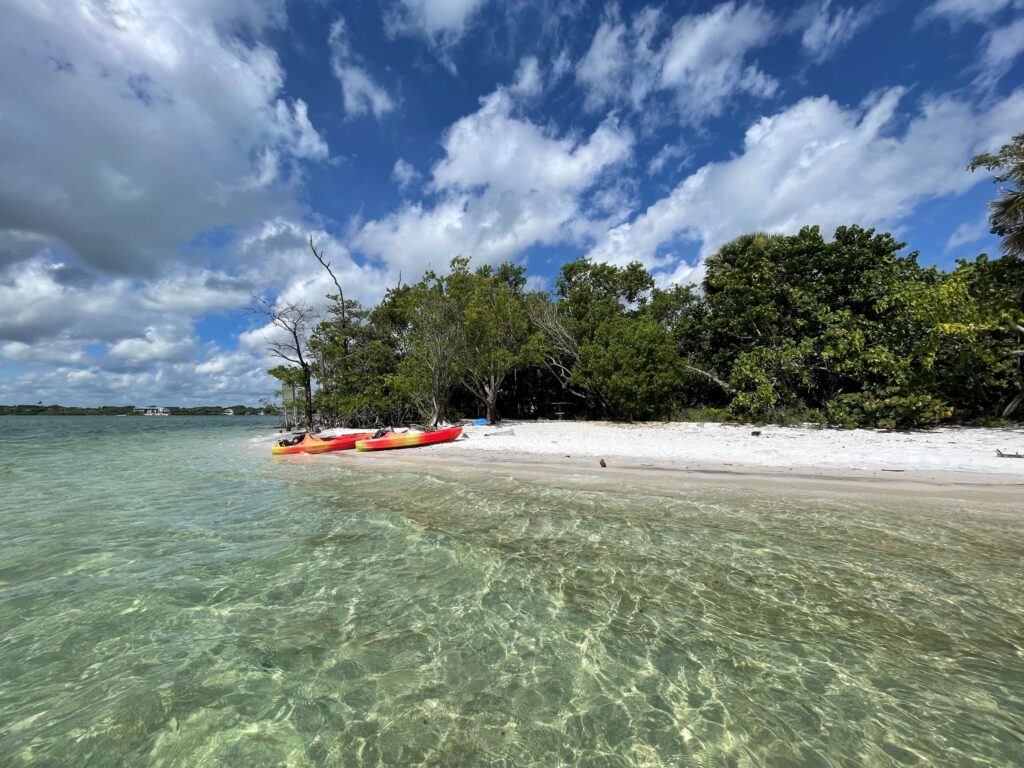 kayaks on a wooded beach