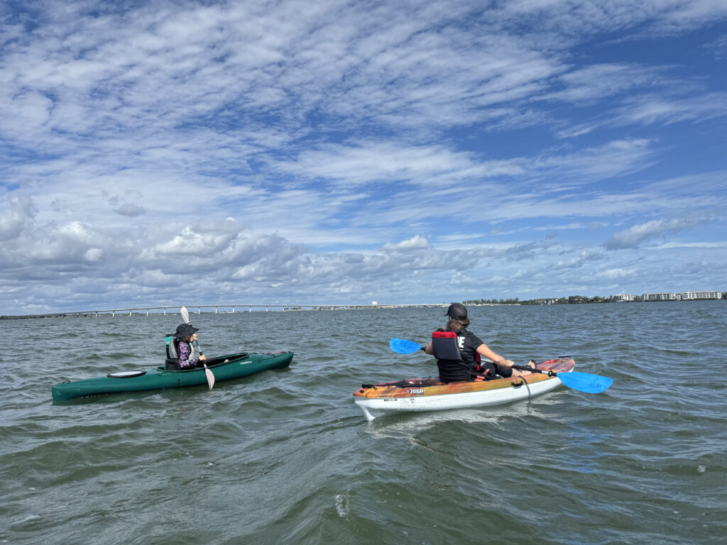 kayakers on open water