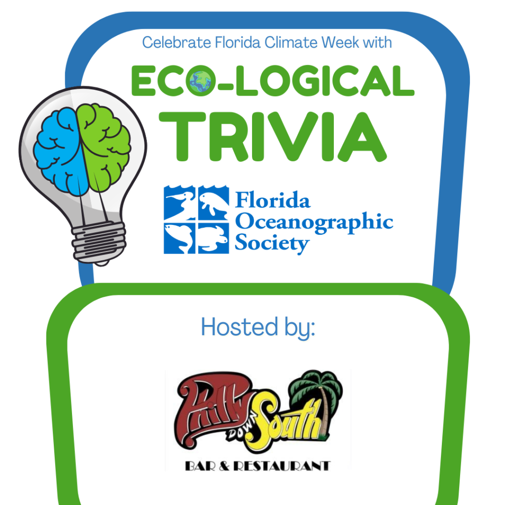 Eco-Logical Trivia Night at Philly Down South event image