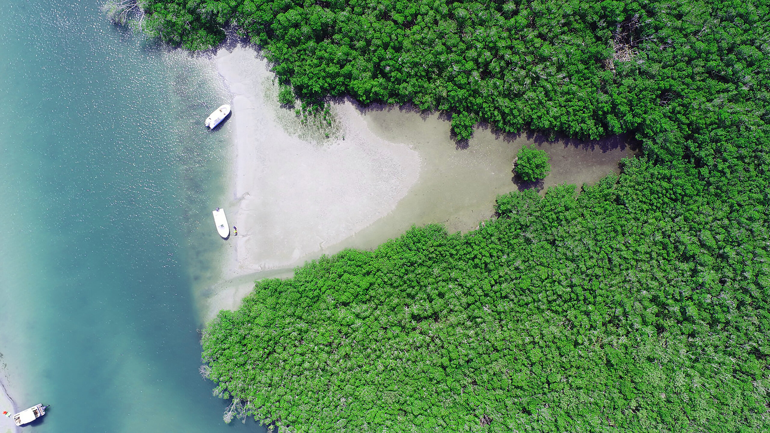 Aerial view of vibrant green mangrove forest, sandy shoreline, and two boats anchored in calm blue-green coastal water.