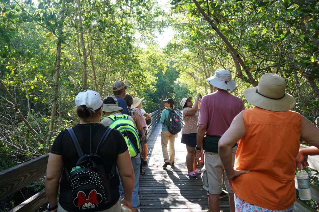 Group of people on a shaded boardwalk trail, wearing hats and backpacks, enjoying a guided walk through lush greenery.