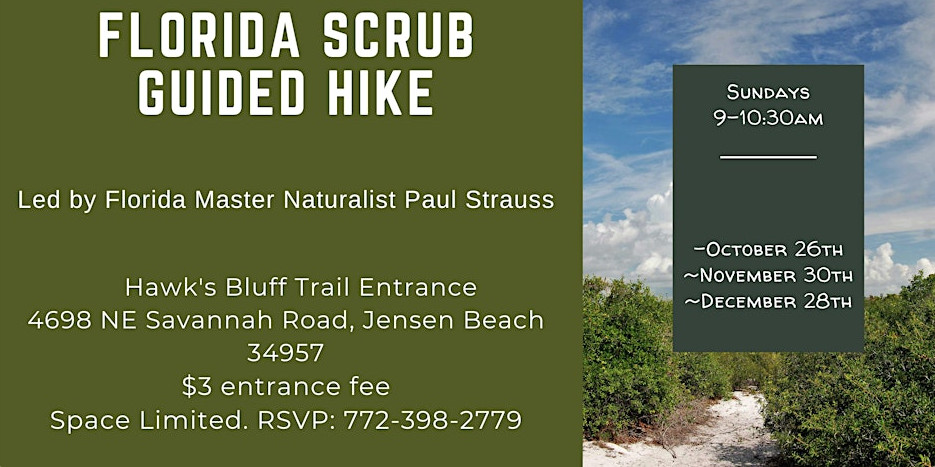 Florida Scrub Guided Hike