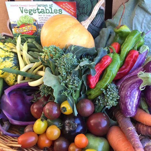 Assorted fresh vegetables including eggplant, squash, carrots, broccoli, tomatoes, peppers, and beans in a basket labeled “Garden of Vegetables.”